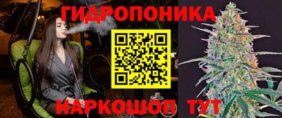 стафф Пыть-Ях
