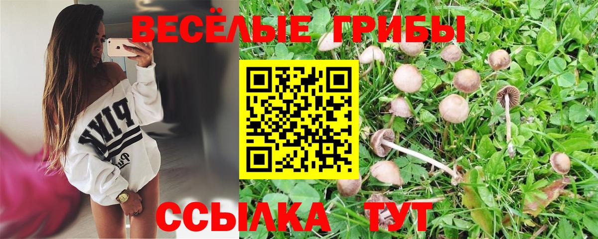 Щёлково  Псилоцибиновые грибы GOLDEN TEACHER  Вход с VPN  Псилоцибиновые грибы Psilocybine cubensis 
